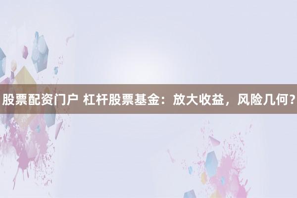 股票配资门户 杠杆股票基金：放大收益，风险几何？