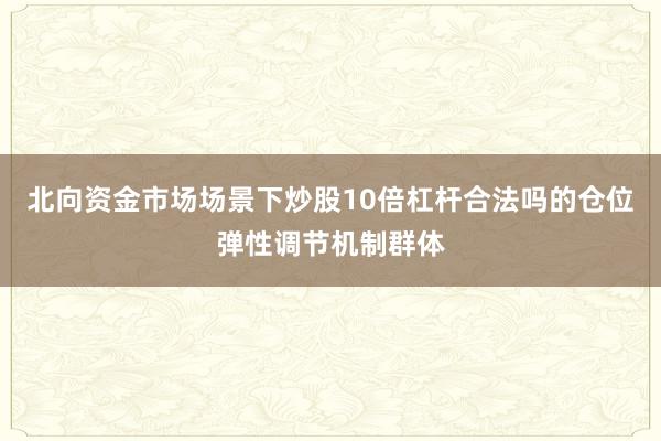 北向资金市场场景下炒股10倍杠杆合法吗的仓位弹性调节机制群体