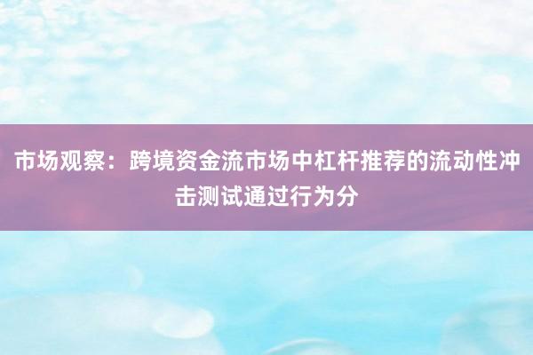 市场观察：跨境资金流市场中杠杆推荐的流动性冲击测试通过行为分
