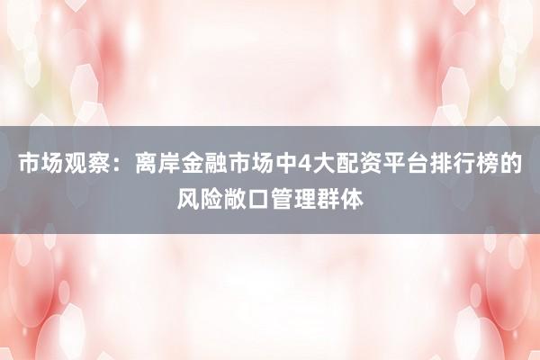市场观察：离岸金融市场中4大配资平台排行榜的风险敞口管理群体