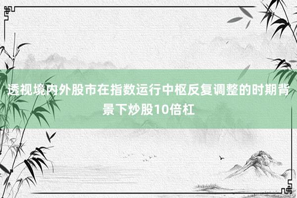 透视境内外股市在指数运行中枢反复调整的时期背景下炒股10倍杠