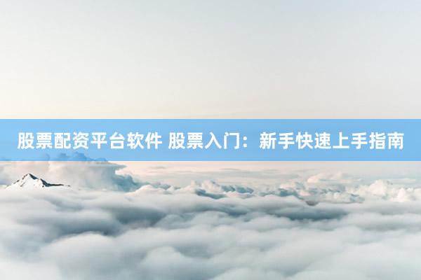 股票配资平台软件 股票入门：新手快速上手指南