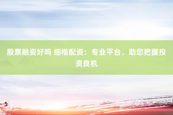股票融资好吗 细楷配资：专业平台，助您把握投资良机