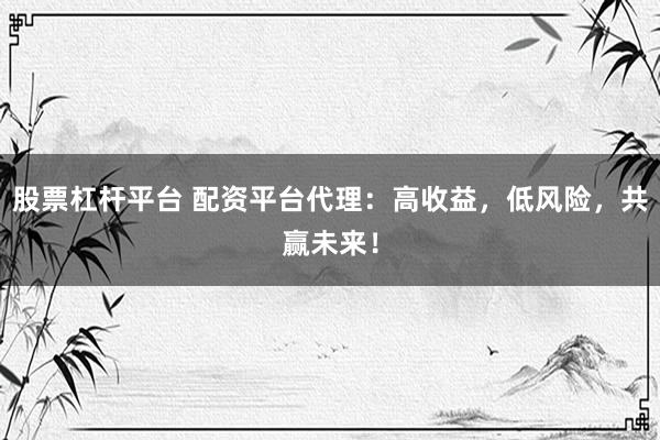 股票杠杆平台 配资平台代理：高收益，低风险，共赢未来！